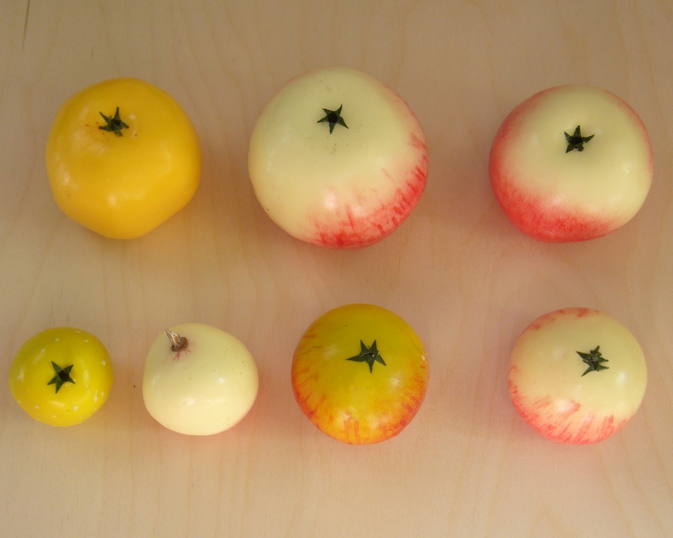 Набор дикая форма и культурные сорта яблони