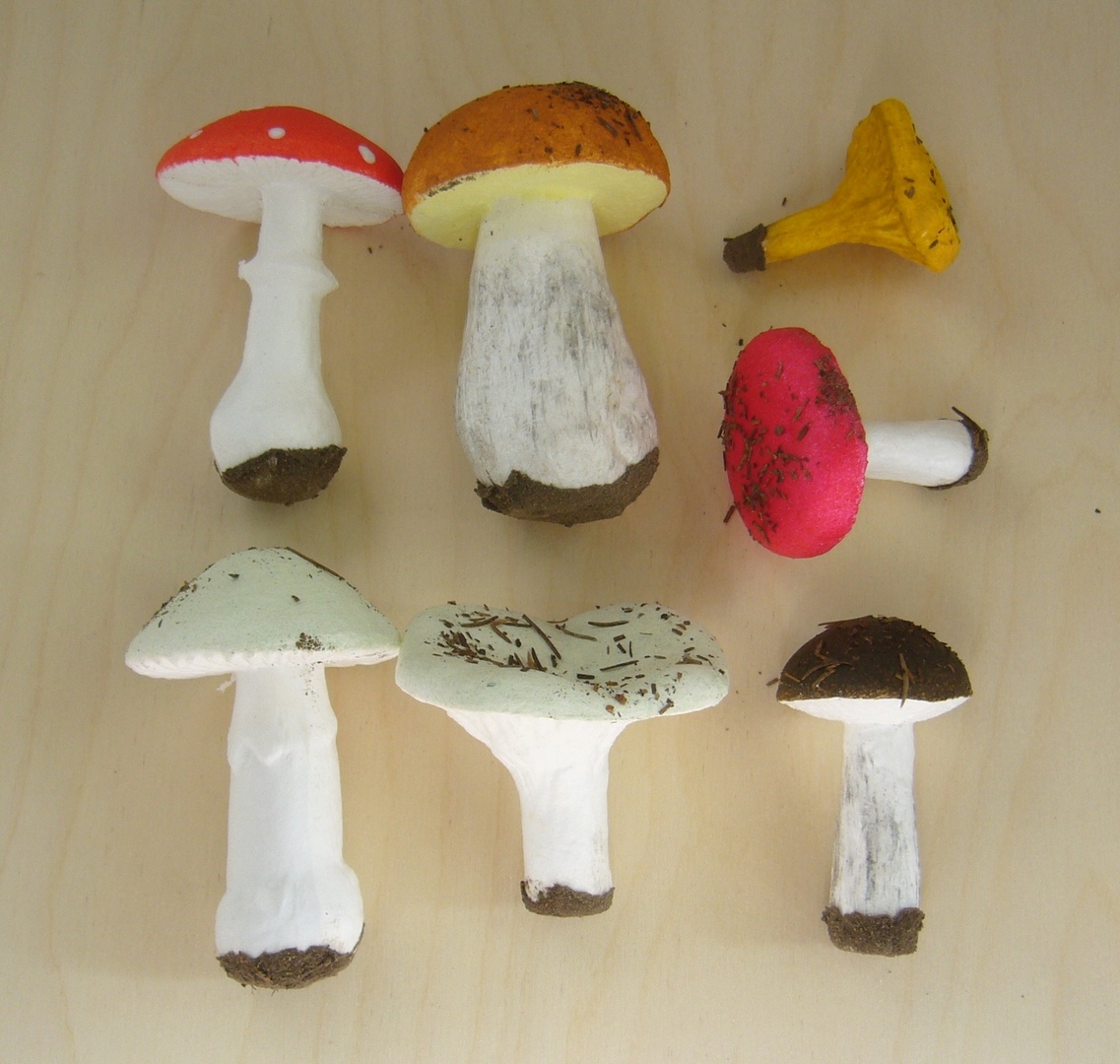 Набор грибов съедобных и ядовитых 9 шт