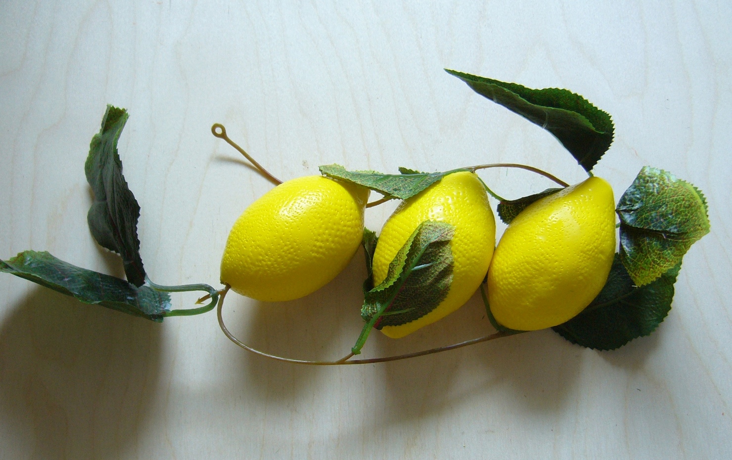 Ветка лимонов